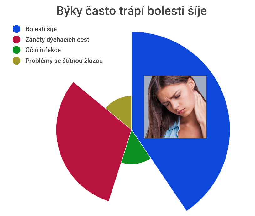 Býci a nemoci