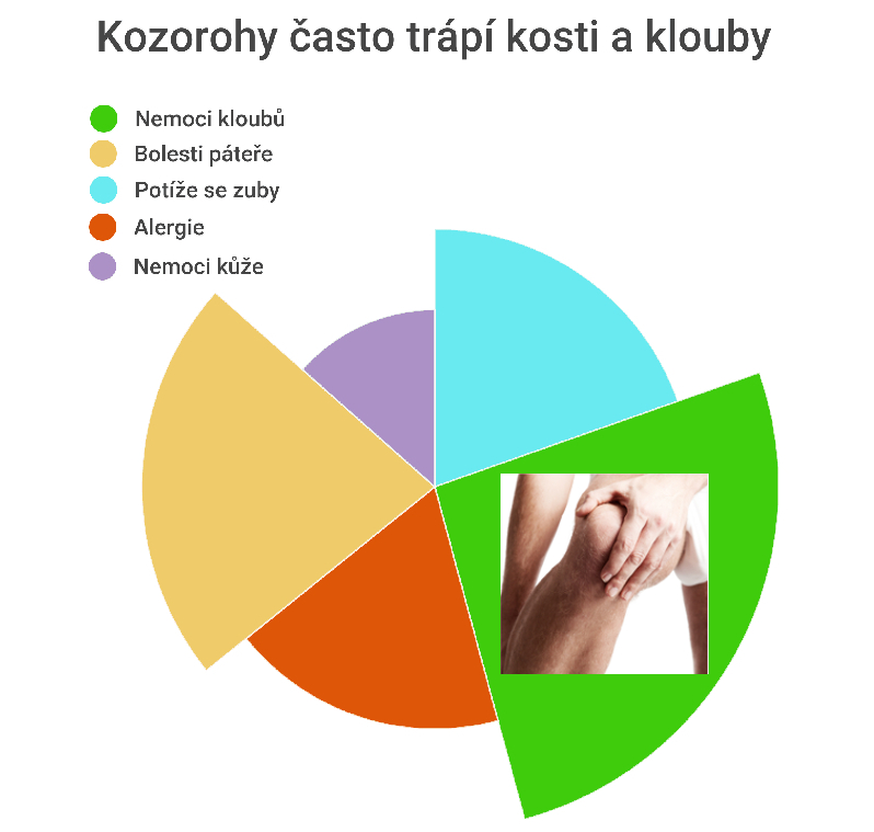 Kozorozi a nemoci