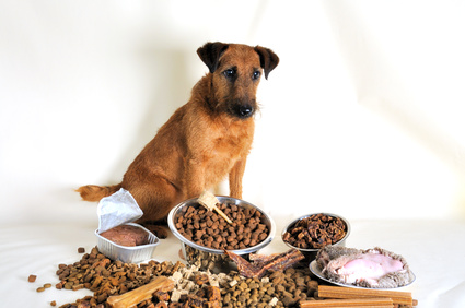 Složení granulí pro psy