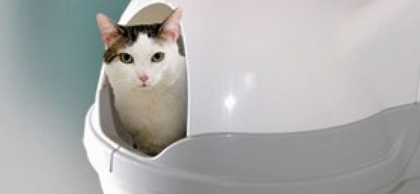 Moderní hygienická toaleta pro kočky Catgenie